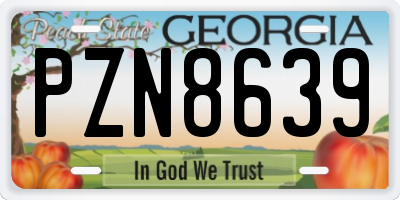 GA license plate PZN8639