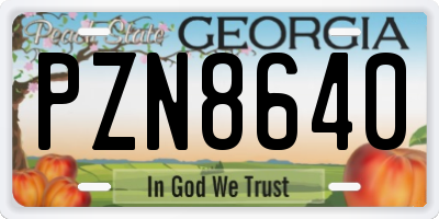 GA license plate PZN8640