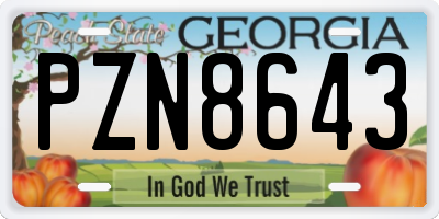 GA license plate PZN8643