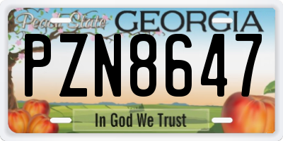 GA license plate PZN8647