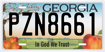 GA license plate PZN8661