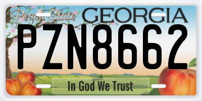 GA license plate PZN8662
