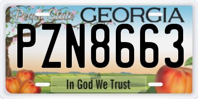 GA license plate PZN8663