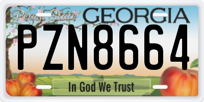 GA license plate PZN8664