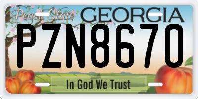 GA license plate PZN8670