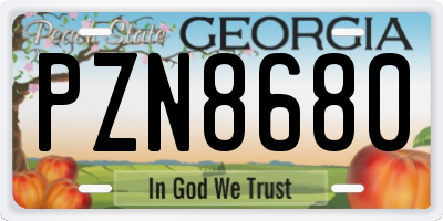 GA license plate PZN8680