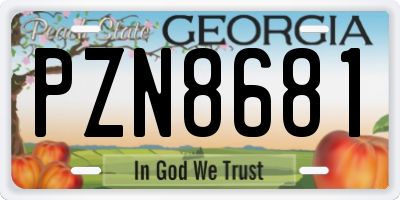 GA license plate PZN8681