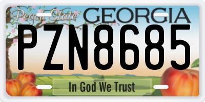 GA license plate PZN8685