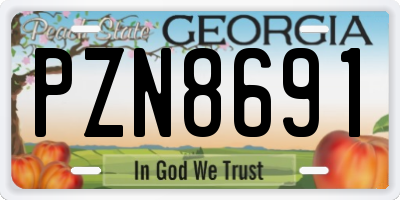 GA license plate PZN8691