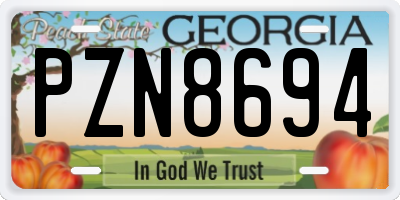 GA license plate PZN8694