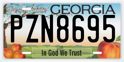 GA license plate PZN8695