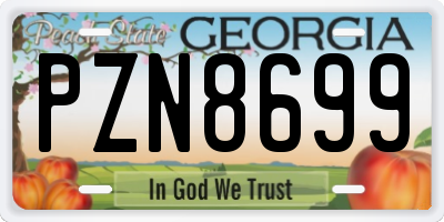 GA license plate PZN8699