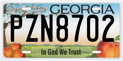 GA license plate PZN8702