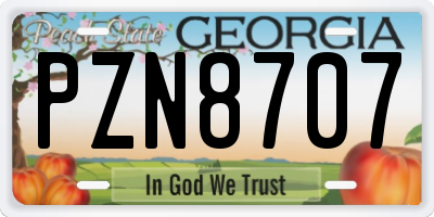 GA license plate PZN8707