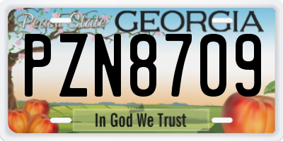 GA license plate PZN8709