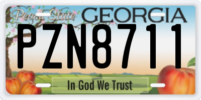 GA license plate PZN8711