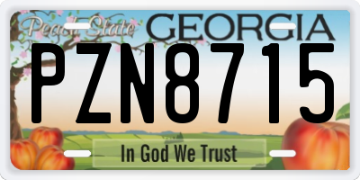 GA license plate PZN8715