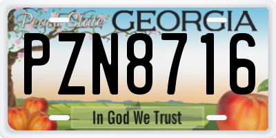 GA license plate PZN8716