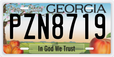 GA license plate PZN8719