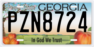 GA license plate PZN8724