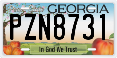 GA license plate PZN8731