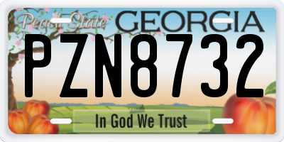 GA license plate PZN8732