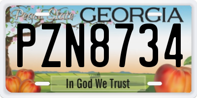 GA license plate PZN8734