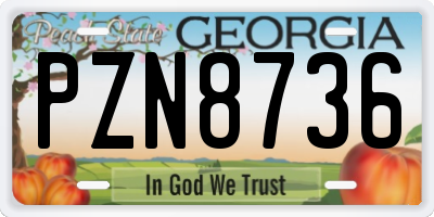 GA license plate PZN8736