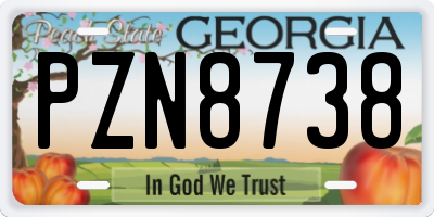 GA license plate PZN8738