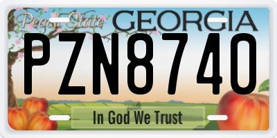 GA license plate PZN8740