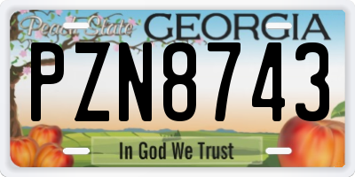 GA license plate PZN8743