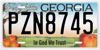 GA license plate PZN8745