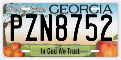GA license plate PZN8752
