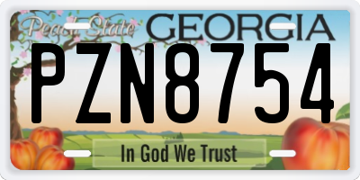 GA license plate PZN8754