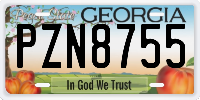 GA license plate PZN8755