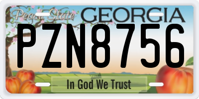 GA license plate PZN8756