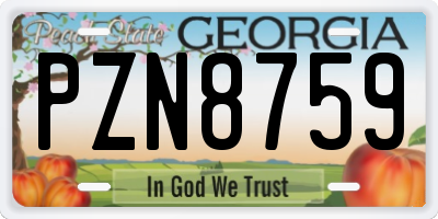 GA license plate PZN8759