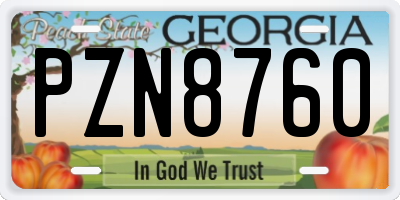 GA license plate PZN8760