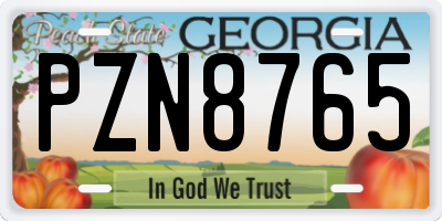 GA license plate PZN8765
