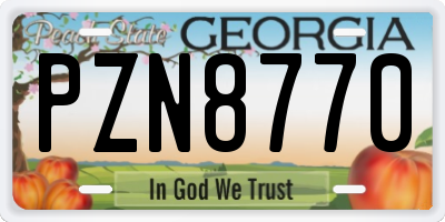 GA license plate PZN8770