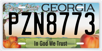 GA license plate PZN8773