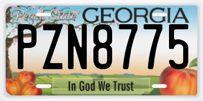 GA license plate PZN8775