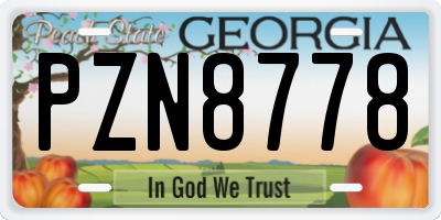 GA license plate PZN8778