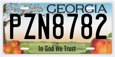 GA license plate PZN8782