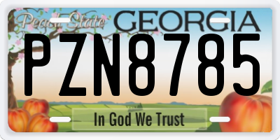 GA license plate PZN8785