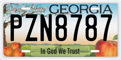 GA license plate PZN8787