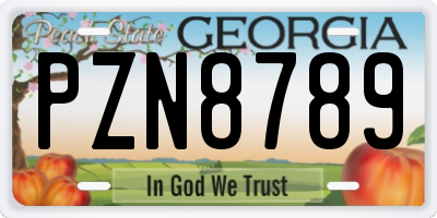 GA license plate PZN8789