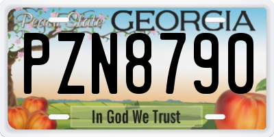 GA license plate PZN8790