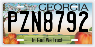 GA license plate PZN8792