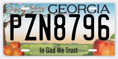 GA license plate PZN8796